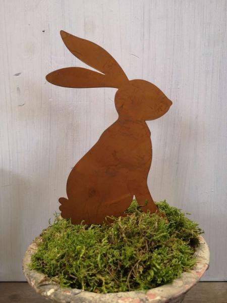 Rosthase zum Stecken